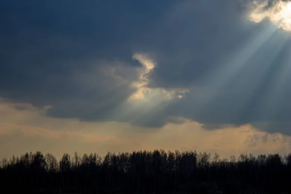 Light rays or rays of God, the yellow rays of the sun pass through the clouds to the forest.