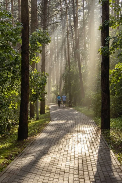 Alley in the city Park after the rain, through the leaves break through the beautiful rays of the evening sun, moisture evaporation, sun glare and illumination.