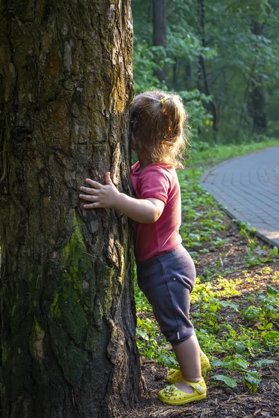 Holčička Obejme Strom Městě Park Jednota Přírodou Živá Energie — Stock fotografie