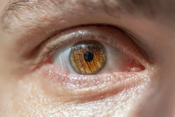 Ojos Marrones Masculinos Iris Pupila Primer Plano — Foto de Stock