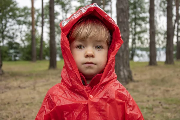 Malá Holčička Červeném Plášti Kapucí Turistickém Táboře Pozadí Lesa Dětská — Stock fotografie