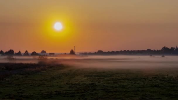 Nascer Sol Sobre Campo Nevoeiro Arrasta Longo Solo Dissipa Modo — Vídeo de Stock