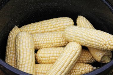 Mısır açık kulaklar pişirilmeli hazır potu kazanmak