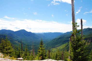 Norh Amerika'da Rainier Dağı Milli Parkı