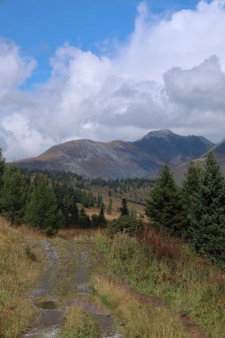Bereketli yeşil tarlaları ve dramatik bulutları olan dağların nefes kesici manzarası. Doğa ve seyahat projeleri için ideal.