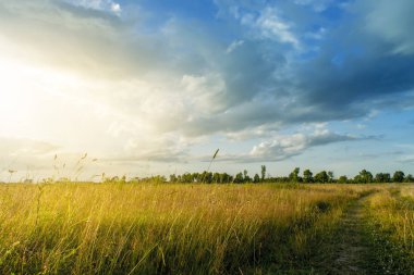Gündoğumu ve yol ile yaz kırsal manzara