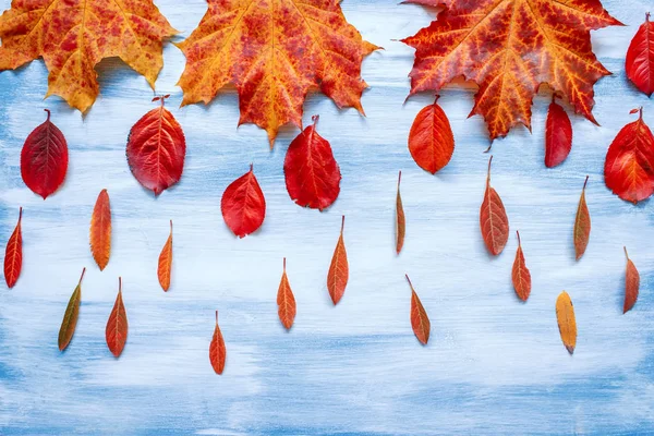 Барвисте осіннє листя бордюр з порожнім антикварним сільським тлом з синього дерева, осінь, День подяки, Хеллоуїн, сезонний знак природи . — стокове фото