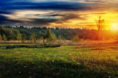 renkli sonbahar landscape.nature arka plan.