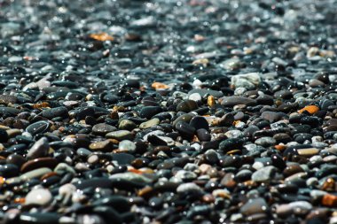 Arka plan ile deniz taş yuvarlak çakıl.