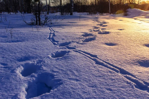 Footprints Snow Sunrise Winter Landscape Winter Hiking — Stock Photo, Image