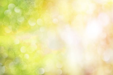 Güneşli bahar çayır arka plan bulanıklık. arka plan