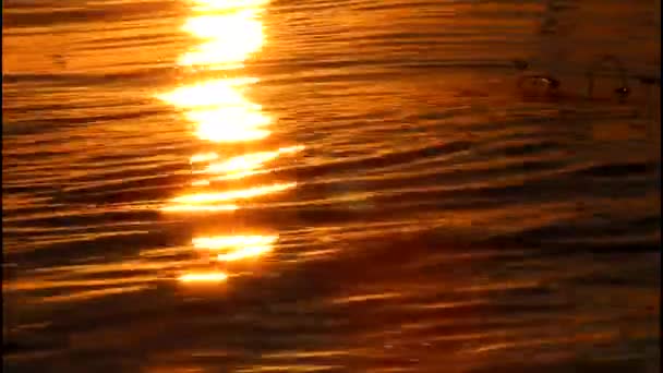在日落或黄昏时 海面闪闪发光 太阳反射湖水作为可循环的运动背景 以去重点设计 — 图库视频影像