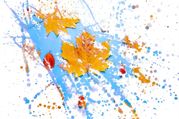 Dupla exposição com folhas de outono contra um céu azul. Fundo de outono — Fotografia de Stock