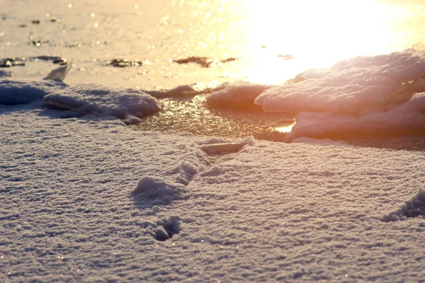 Eis auf dem Fluss während der Eisdrift, die von der untergehenden Sonne im Frühling beleuchtet wird — Stockfoto