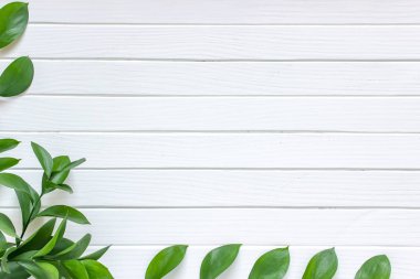 Yeşil Beyaz ahşap zemin üzerinde bırakır. Metin, en iyi görünüm için yer