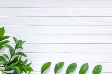 Yeşil Beyaz ahşap zemin üzerinde bırakır. Metin, en iyi görünüm için yer