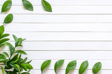 Yeşil Beyaz ahşap zemin üzerinde bırakır. Metin, en iyi görünüm için yer