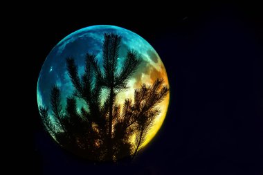 Dolunay arka planda çam silüeti. Fantastik arka plan.