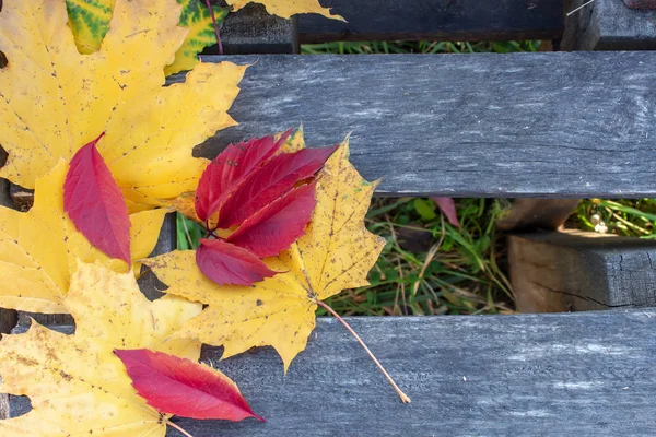 Žluté a rudé podzimní listy na starém dřevěném pozadí. — Stock fotografie
