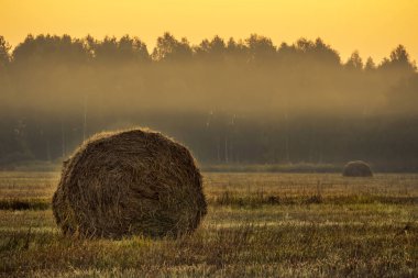 Saman balyaları ile çiftlik alanı üzerinde altın gün batımı. Sonbahar manzarası.