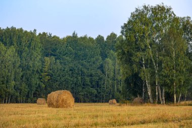 Saman balyaları ile çiftlik alanı üzerinde altın gün batımı. Sonbahar manzarası.