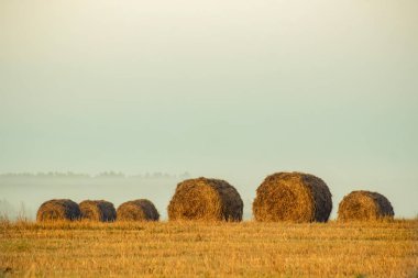 Saman balyaları ile çiftlik alanı üzerinde altın gün batımı. Sonbahar manzarası.