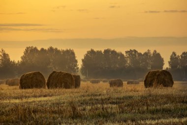 Saman balyaları ile çiftlik alanı üzerinde altın gün batımı. Sonbahar manzarası.