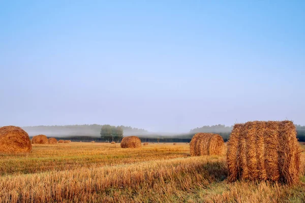 Tramonto d'oro sul campo della fattoria con balle di fieno. Paesaggio d'autunno . — Foto Stock