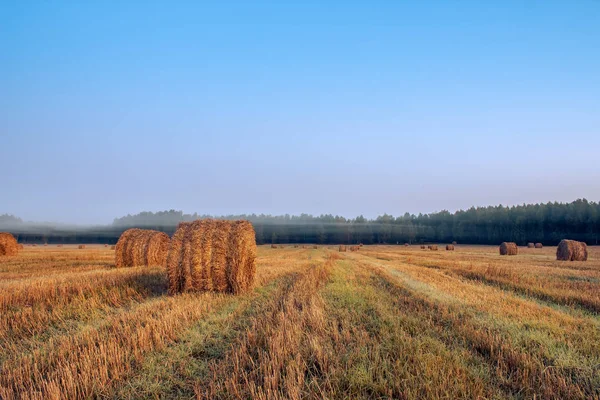 Gyllene solnedgång över gårdsplan med höbalar. Höstlandskap. — Stockfoto