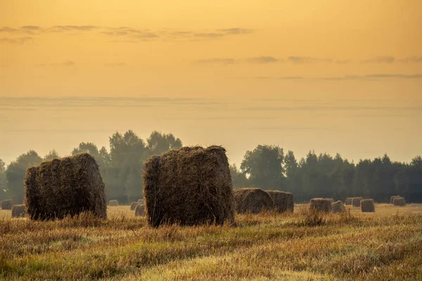 Saman balyaları ile çiftlik alanı üzerinde altın gün batımı. Sonbahar manzarası.