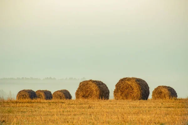 Tramonto d'oro sul campo della fattoria con balle di fieno. Paesaggio d'autunno . — Foto Stock