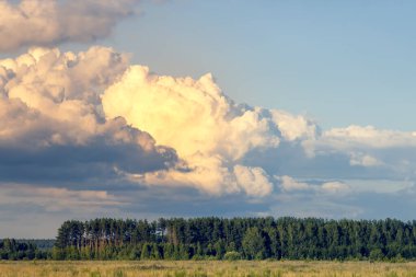 Rus sahasının üzerinde güzel bulutlar. Yaz manzarası.