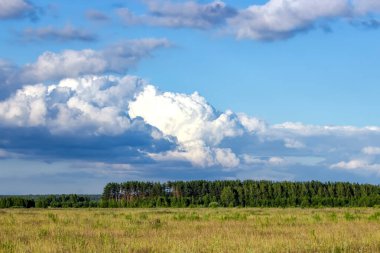 Rus sahasının üzerinde güzel bulutlar. Yaz manzarası.