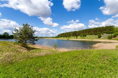 Güneşli bir yaz gününde Güzel bir orman gölü