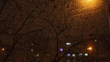 Geceleri şehirdeki bir apartmanın arka planına kar yağıyor.