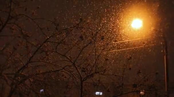 雪が降る夜市内のアパートの街灯の背景に — ストック動画