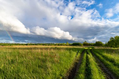Tarlada yol yeşil çimlerin arasında ve güzel gökyüzü akşamları.