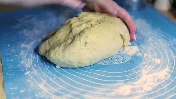 Women Hands Knead Dough Home Baking Chef Pastry — 비디오