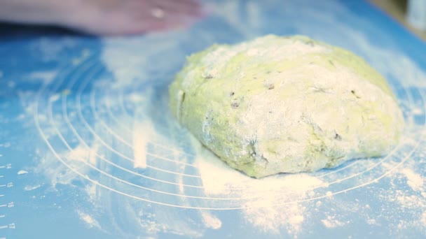 Womens hands knead the dough for home baking chef, pastry. — Stock Video