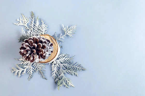 Mavi arka planda thuja dalları ve konileri olan bir Noel süsü. Üst görünüm