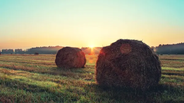秋日日出时分农田里的草袋 — 图库照片