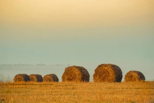 秋日日出时分农田里的草袋 — 图库照片