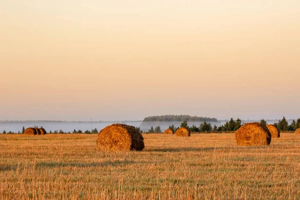 Straw Bales Farmland Autumn Sunrise — Stock Photo, Image