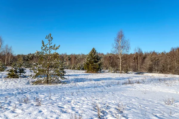 Landschaft mit Winterwald und hellen Sonnenstrahlen. Sonnenaufgang, Sonnenuntergang im schönen verschneiten Wald. — Stockfoto