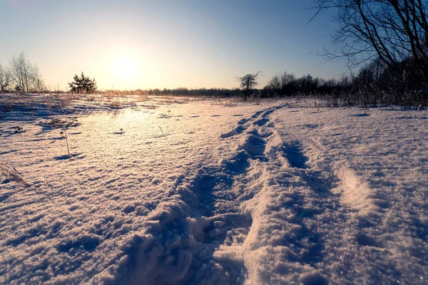 Landschaft mit Winterwald und hellen Sonnenstrahlen. Sonnenaufgang, Sonnenuntergang im schönen verschneiten Wald. — Stockfoto
