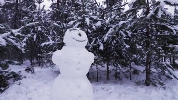 Un bonhomme de neige se tient debout dans une forêt enneigée d'hiver par une journée nuageuse. — Video