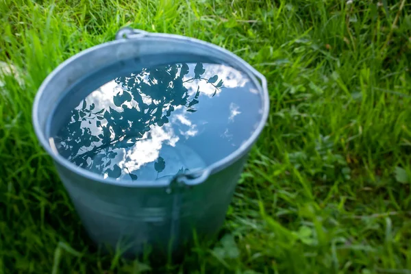 A metal bucket of water stands in the green grass on a sunny day