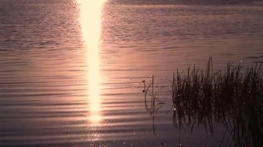 Doğada güzel bir gün batımı. Güneşli yol akşamları göle yansıyor. Batan güneşe karşı gölün muhteşem manzarası. Rahatla ve meditasyon konsepti.