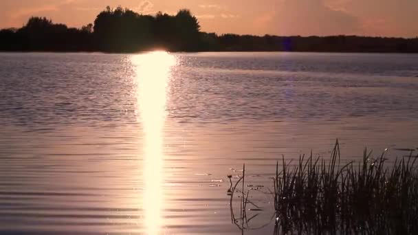 Schöner Sonnenuntergang Der Natur Sonniger Pfad Spiegelt Sich Abend Auf — Stockvideo