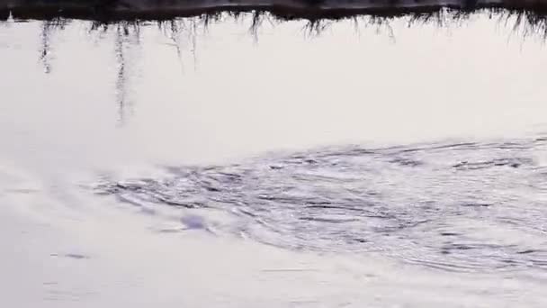 Wellen Auf Dem Fluss Hinter Einem Ertrunkenen Treibholz Hindernis Auf — Stockvideo